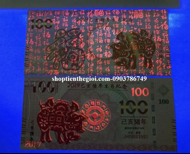 tiền 100 macau hình con heo